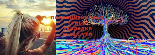 экстази Абаза